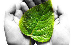 Six benefits of using Green power